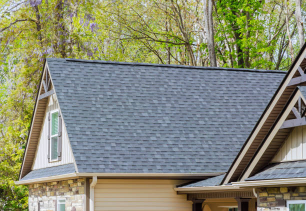 Best Gutter Installation and Repair  in Sterling, AK