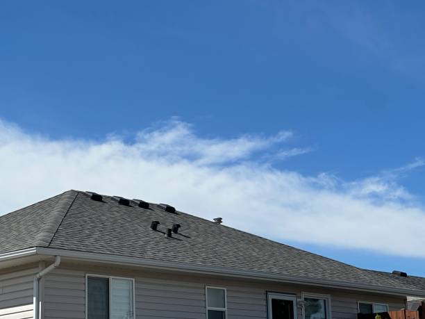 Best Tile Roofing Installation  in Sterling, AK